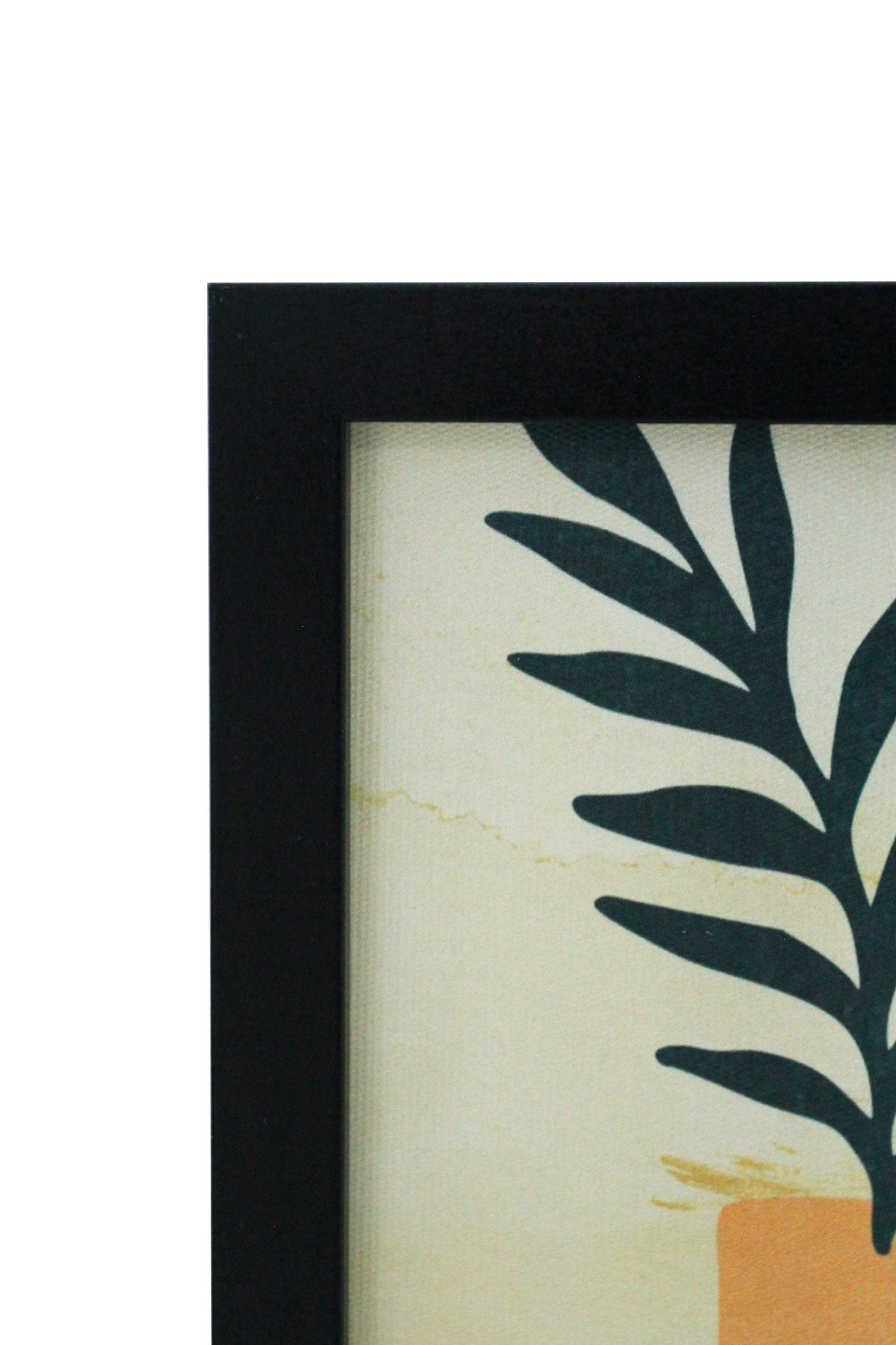 Set de 6 cuadros MALADETA