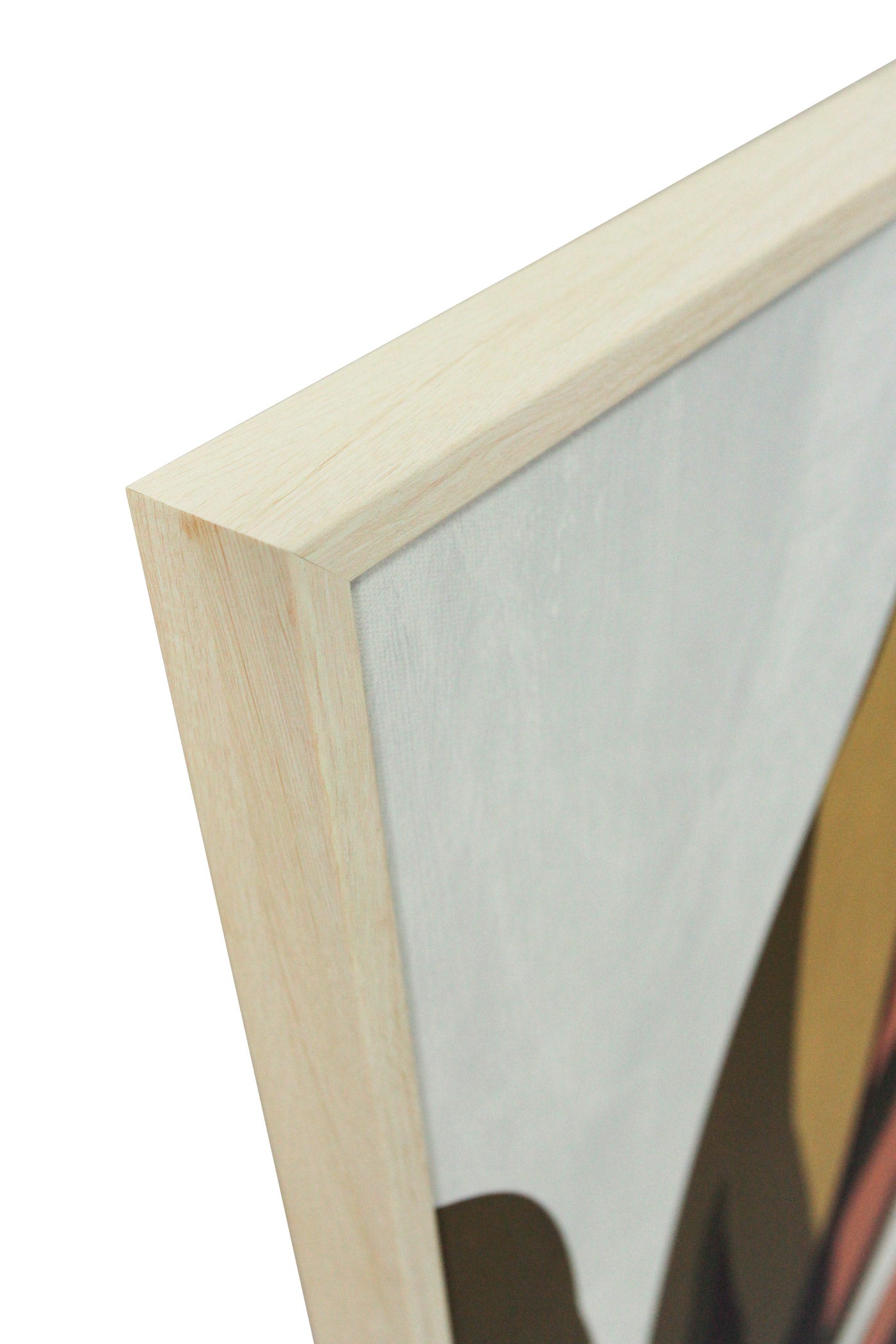 Set de 2 cuadros VIÑAMALA