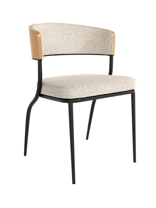 Juego de 2 sillas CIBEA